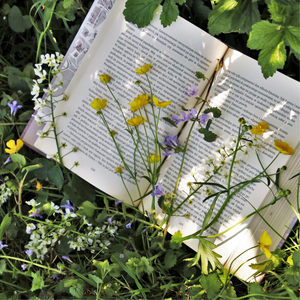 Anne of Green Gables ~ Spring Yarn and Book Box