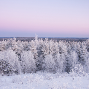 Snow Queen ~ Winter Yarn and Book Box