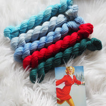 Load image into Gallery viewer, Skating Party ~ A Very Vintage Yarn Club ~ November/December
