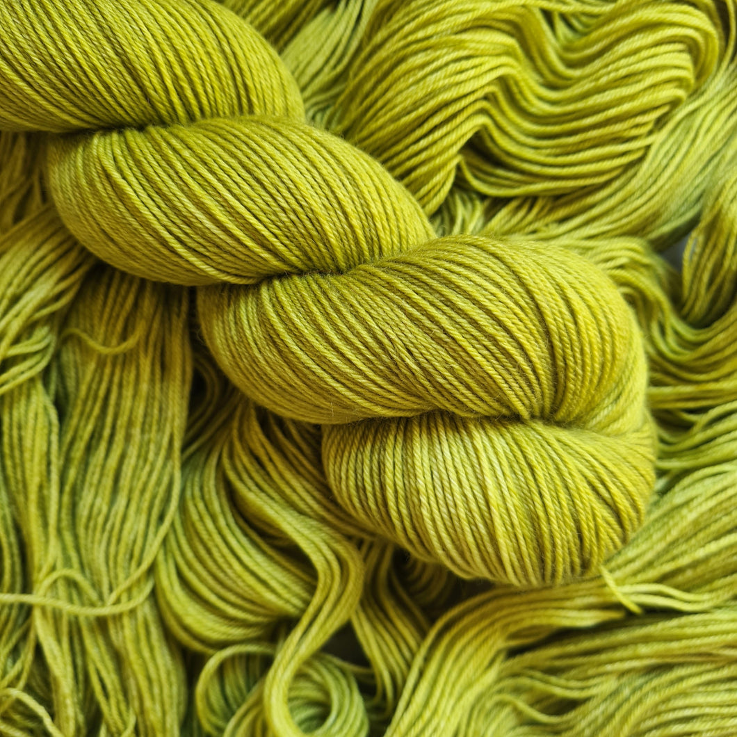 Lichen - Dyed to Order